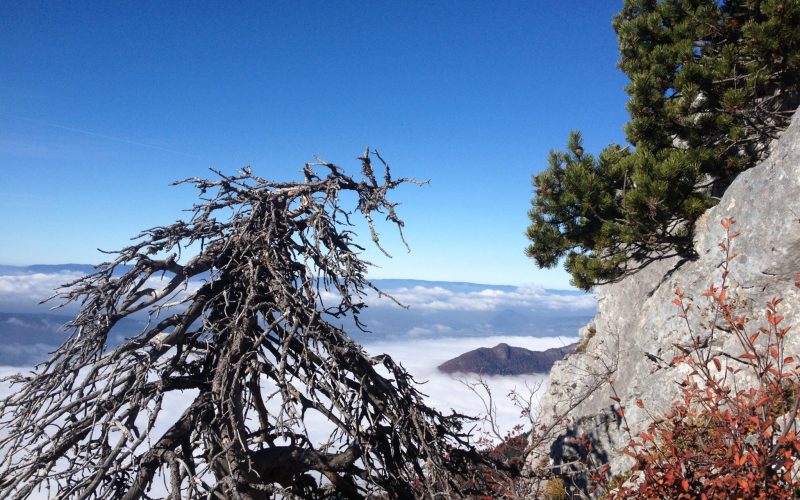 happy-women-mountains-montagne-femmes