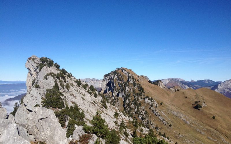 happy-women-mountains-montagne-femmes