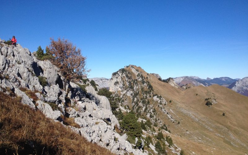 happy-women-mountains-montagne-femmes