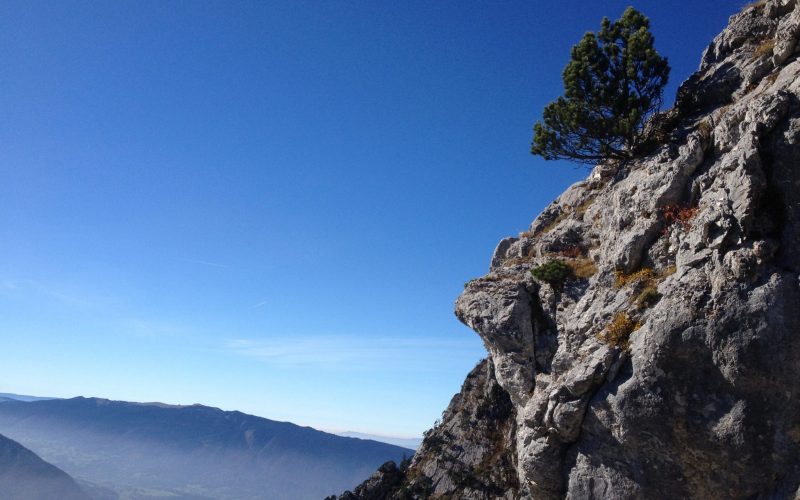 happy-women-mountains-montagne-femmes