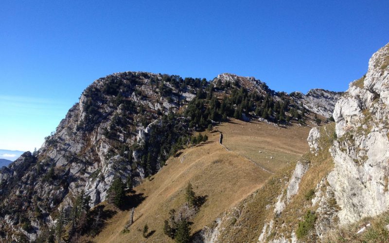 happy-women-mountains-montagne-femmes