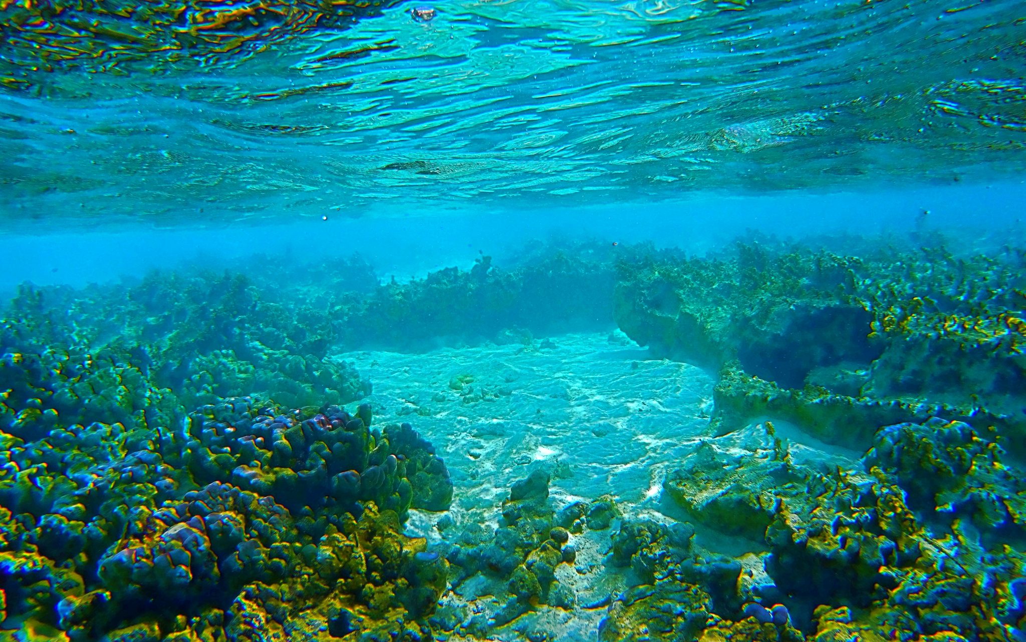 happy-women-mountain-femme-snorkling-lagon