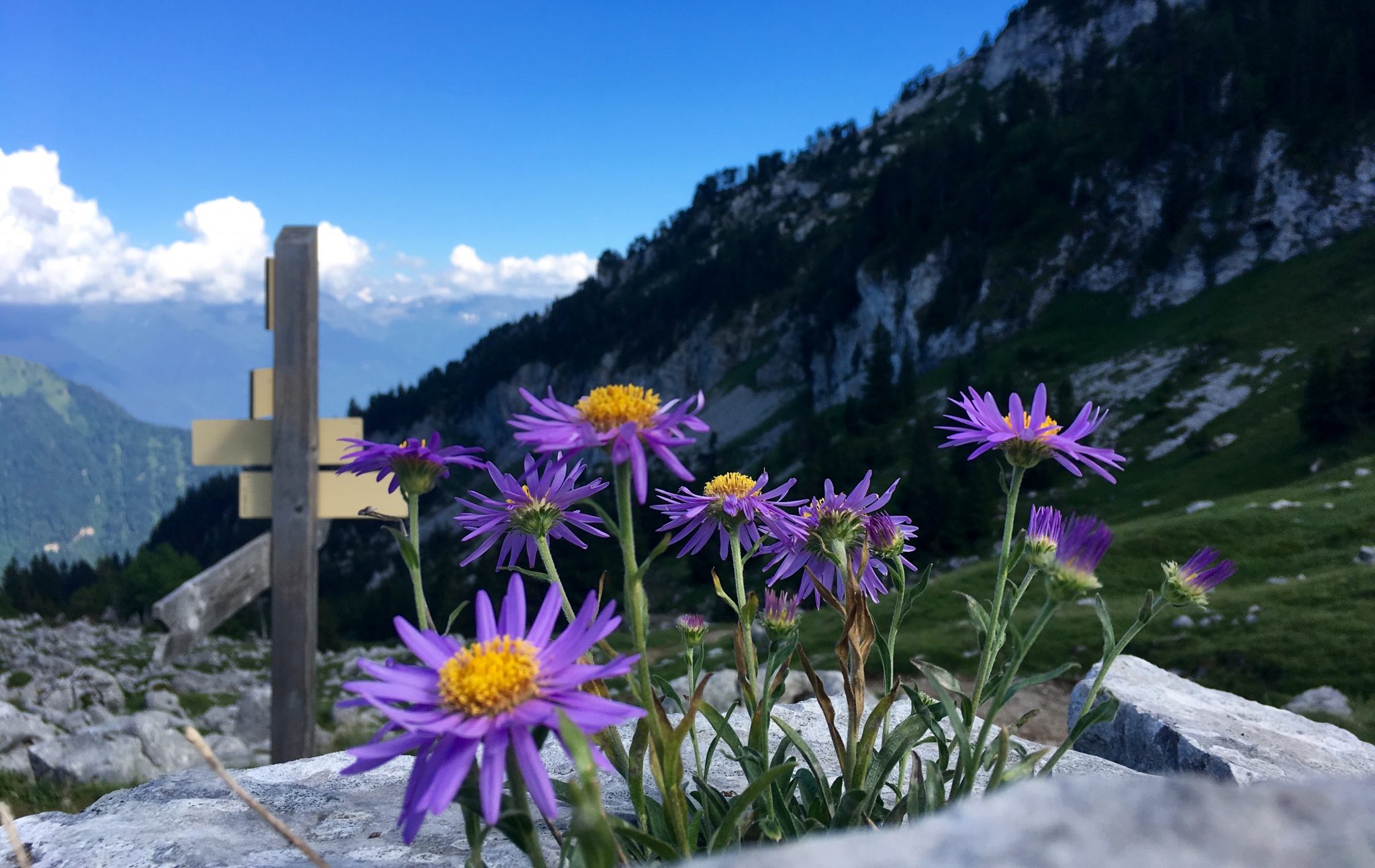 famille-enfants-jeux-activites-montagne