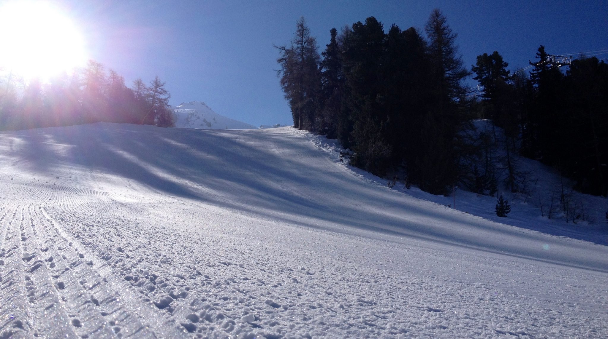 skis-femmes-piste-performance-skieuses-montagne-alpin