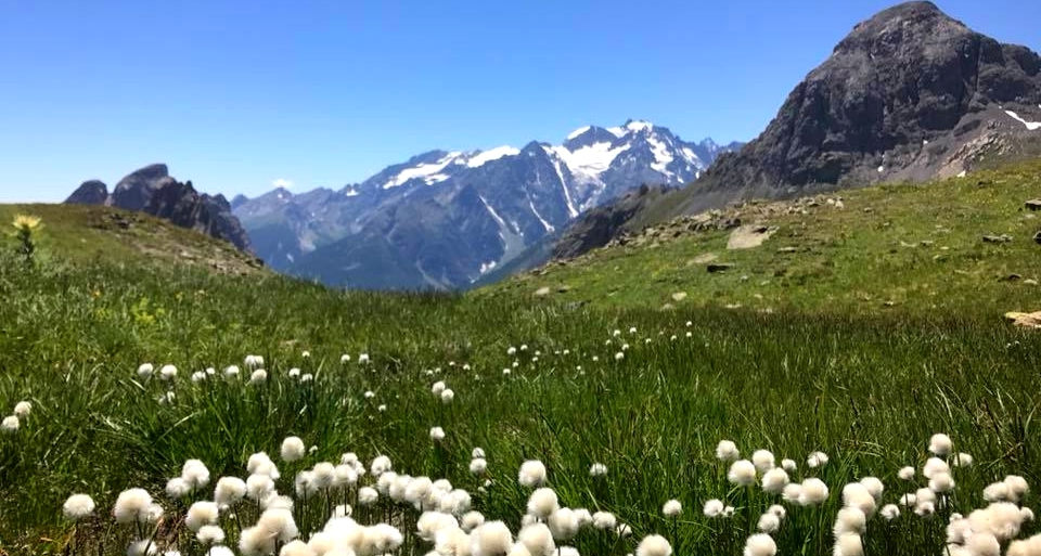 femmes-montagne-ete-detente-randonnee-bien_etre-decouverte-hautes-alpes-faune-flore-alpage-prairies-chalets-flore