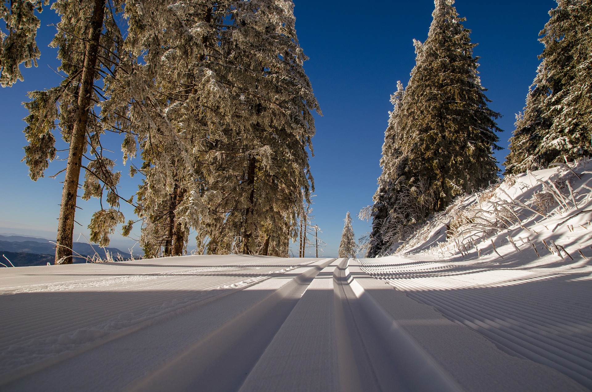 Ski nordique à prix modique