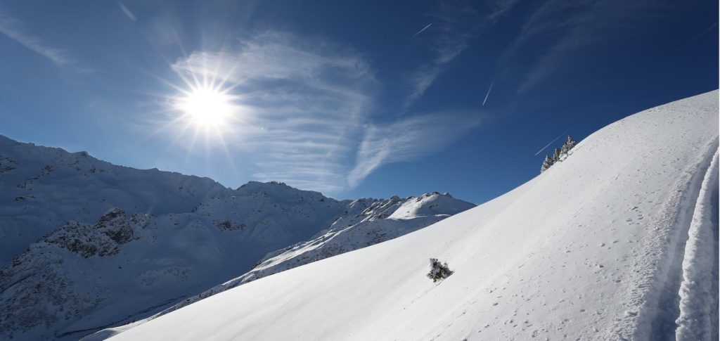 Traces de ski sur une belle poudreuse.