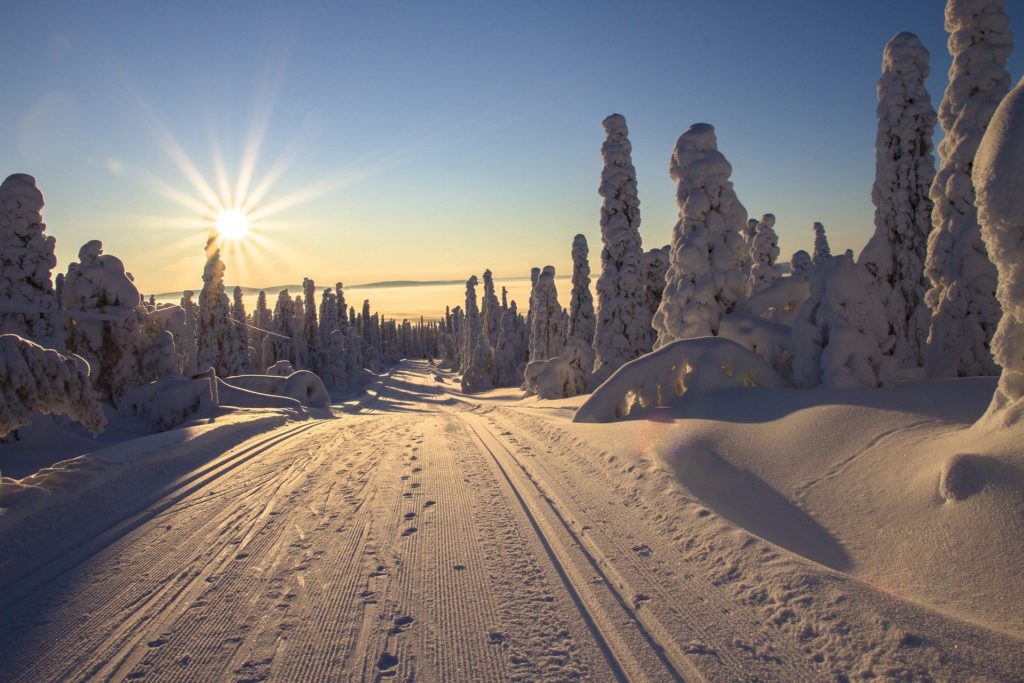 Magie des paysages nordiques en Finlande.